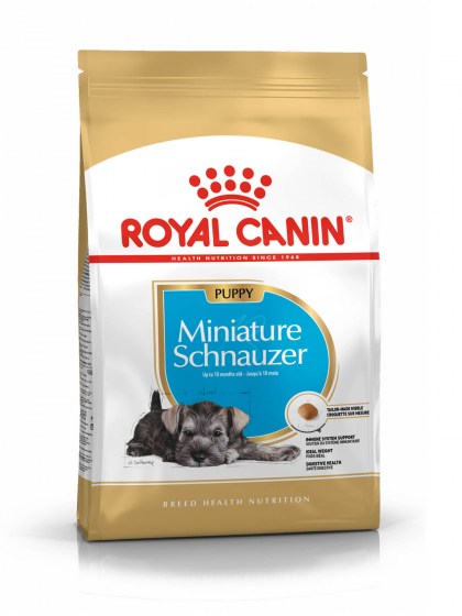 BHN SCHNAUZER PUPPY 1,5K_web